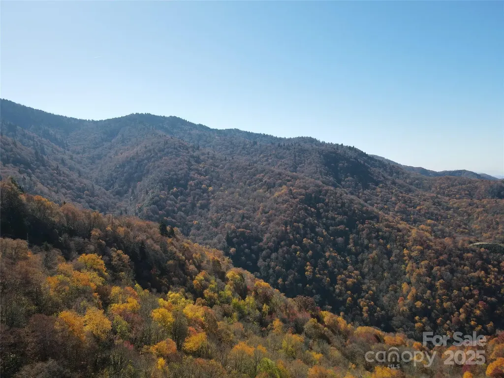 3837 & 3689 Plott Balsam Road Maggie Valley NC 28751