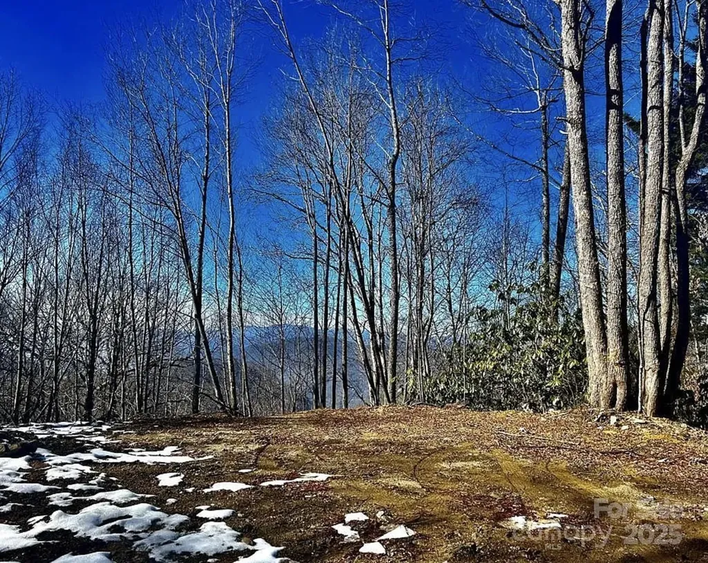3837 & 3689 Plott Balsam Road Maggie Valley NC 28751