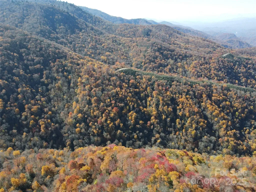 3837 & 3689 Plott Balsam Road Maggie Valley NC 28751