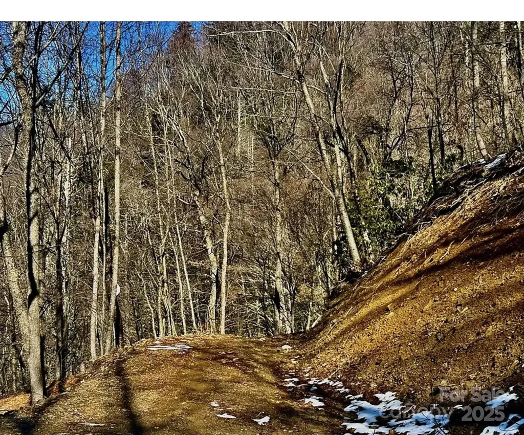 3837 & 3689 Plott Balsam Road Maggie Valley NC 28751