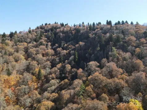 3837 & 3689 Plott Balsam Road Maggie Valley NC 28751