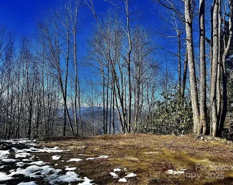 3837 & 3689 Plott Balsam Road Maggie Valley NC 28751