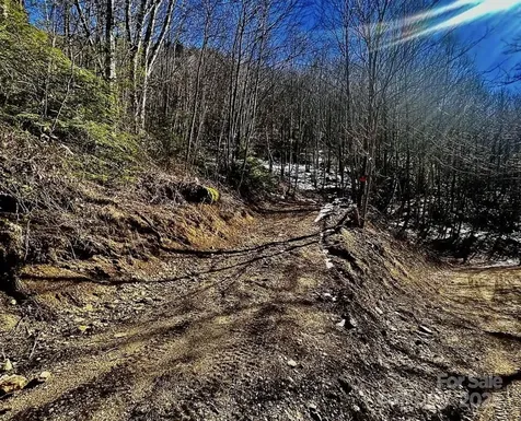 3837 & 3689 Plott Balsam Road Maggie Valley NC 28751