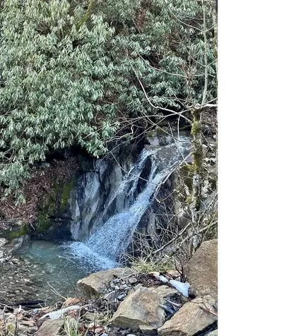 3837 & 3689 Plott Balsam Road Maggie Valley NC 28751