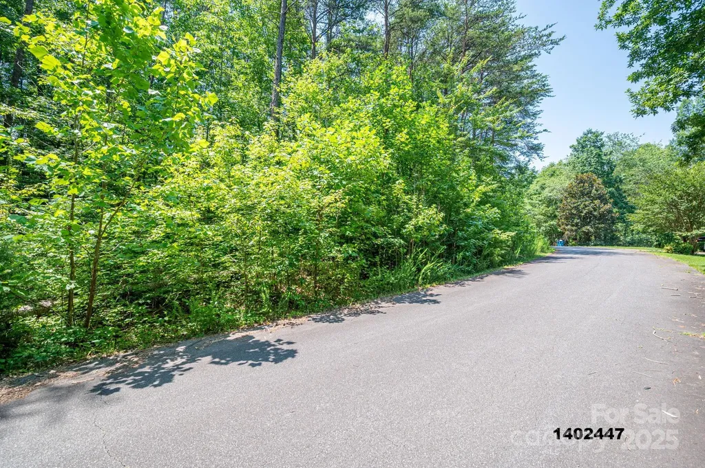 00 Washburn Lane Rutherfordton NC 28139