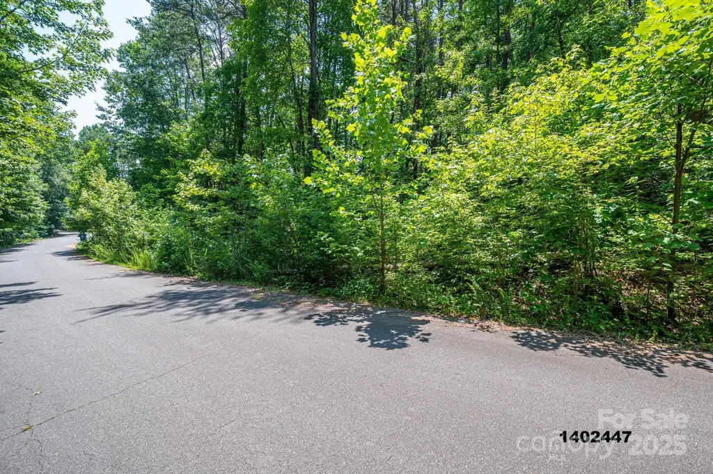 00 Washburn Lane Rutherfordton NC 28139