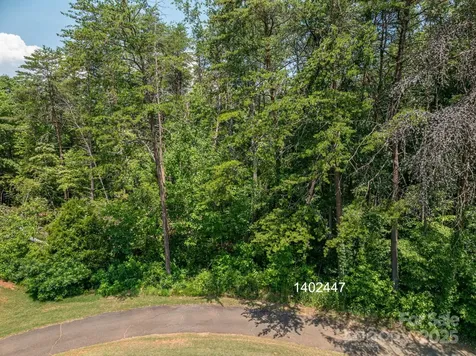 00 Washburn Lane Rutherfordton NC 28139