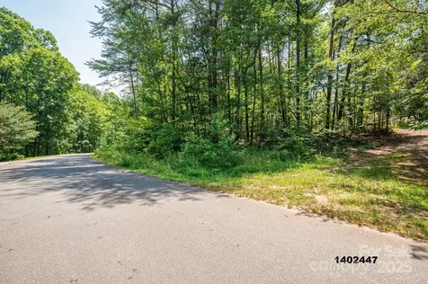 00 Washburn Lane Rutherfordton NC 28139