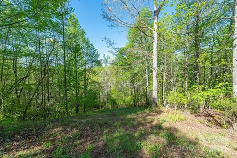 000 Thousand Oaks Drive Old Fort NC 28752