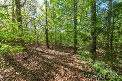000 Thousand Oaks Drive Old Fort NC 28752