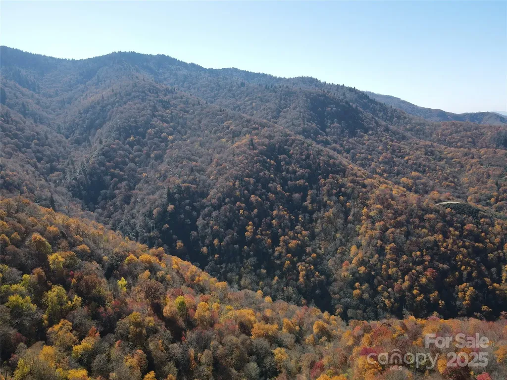 3689 Plott Balsam Road Maggie Valley NC 28779