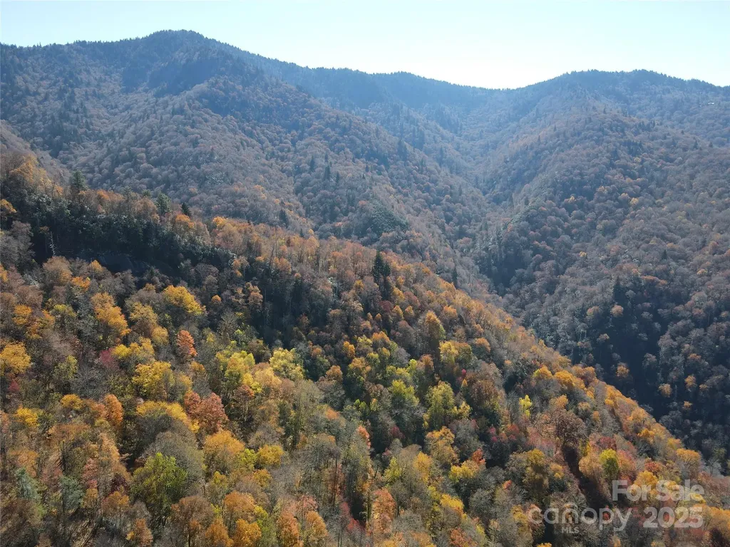 3689 Plott Balsam Road Maggie Valley NC 28779
