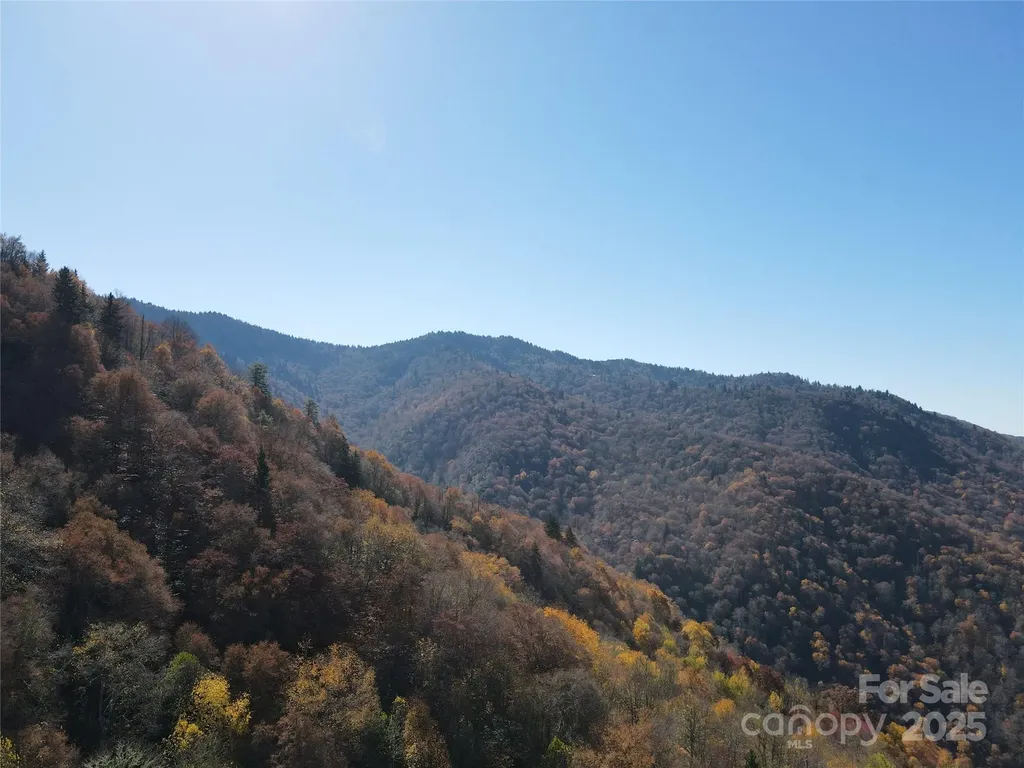 3689 Plott Balsam Road Maggie Valley NC 28779