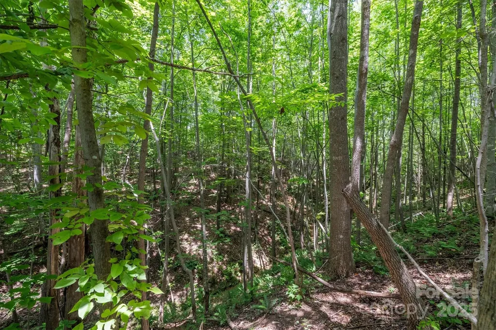 Tbd Catawba Valley Boulevard SE Hickory NC 28601