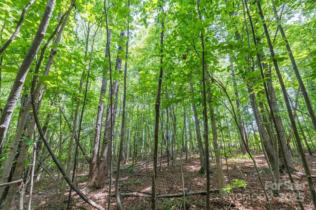Tbd Catawba Valley Boulevard SE Hickory NC 28601