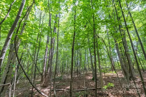 Tbd Catawba Valley Boulevard SE Hickory NC 28601