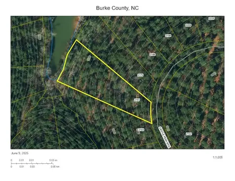2143 & 2157 Castle Peak Mountain Connelly Springs NC 28612