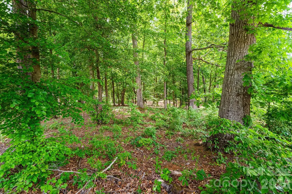 Lot 10 Eagle Pointe Drive Norwood NC 28128