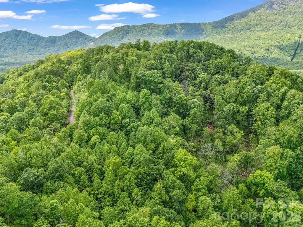 0 Ragans Pointe Columbus NC 28722