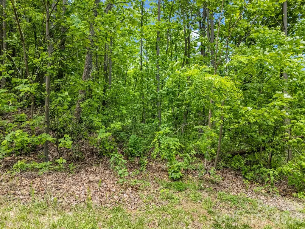 0 Ragans Pointe Columbus NC 28722