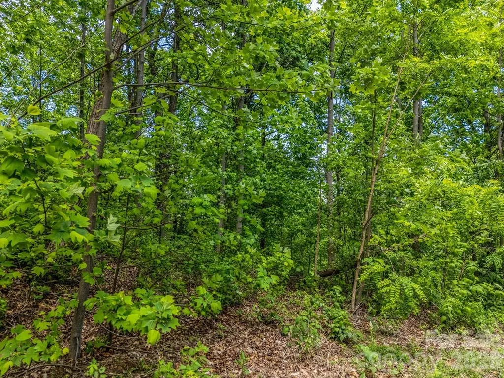 0 Ragans Pointe Columbus NC 28722