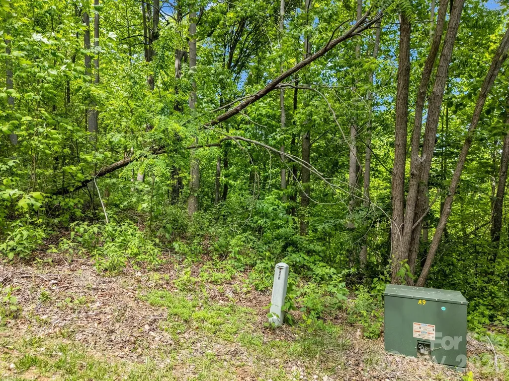 0 Ragans Pointe Columbus NC 28722