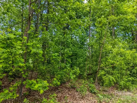 0 Ragans Pointe Columbus NC 28722