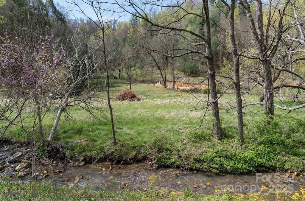 1408 Hamburg Road Mars Hill NC 28754