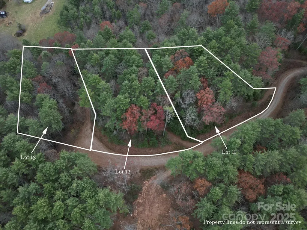 13 Wildlife Drive Clyde NC 28721