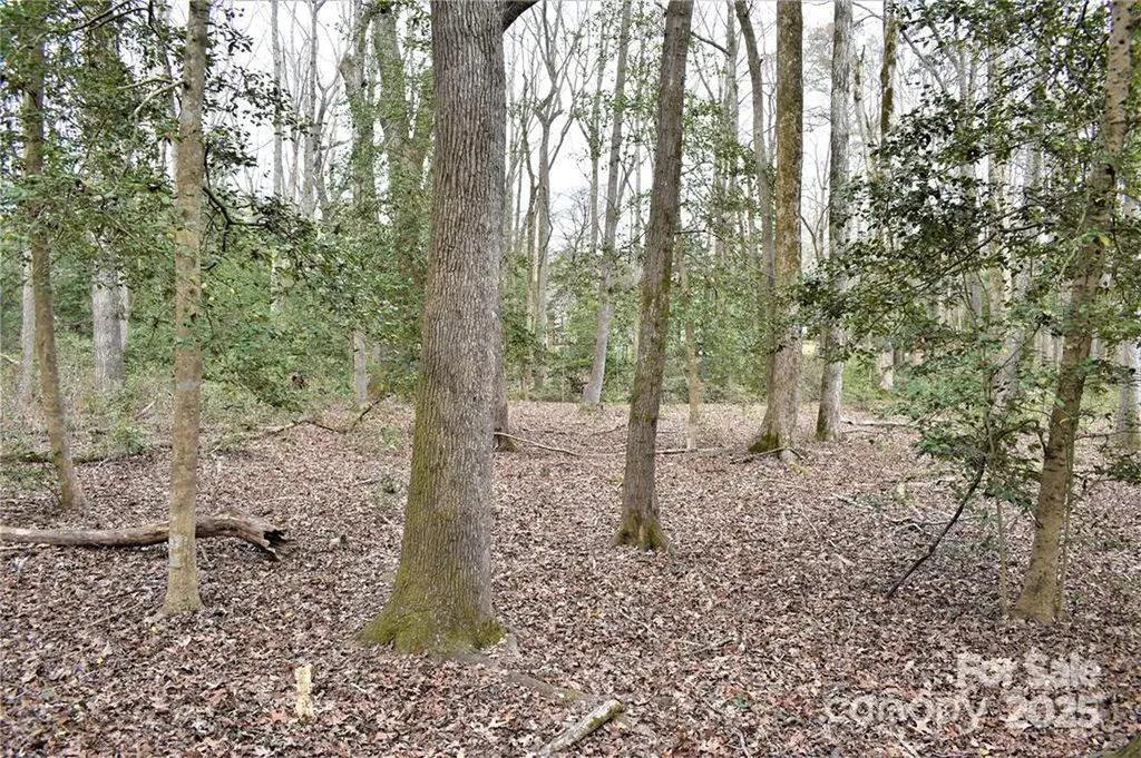 333 Pearl Bay Drive Badin Lake NC 28127