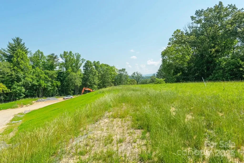 116 Lilikoi Lane Asheville NC 28804