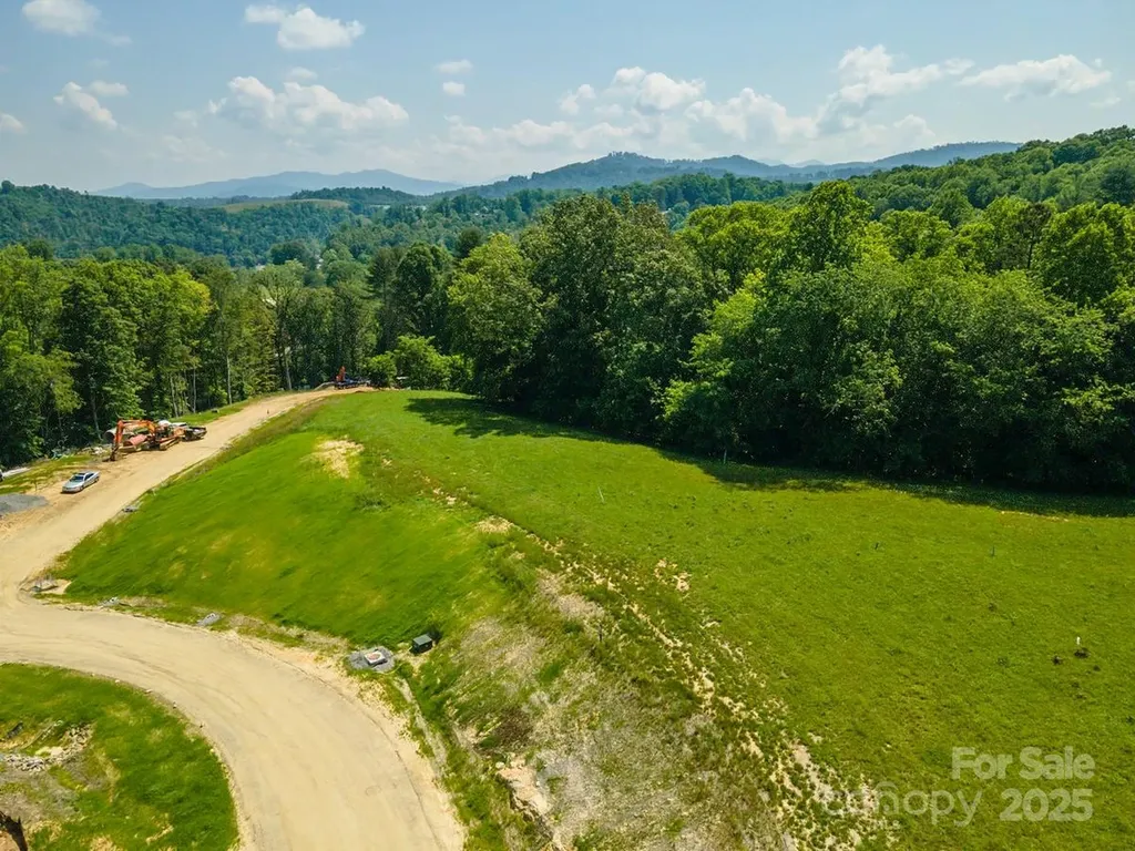 116 Lilikoi Lane Asheville NC 28804