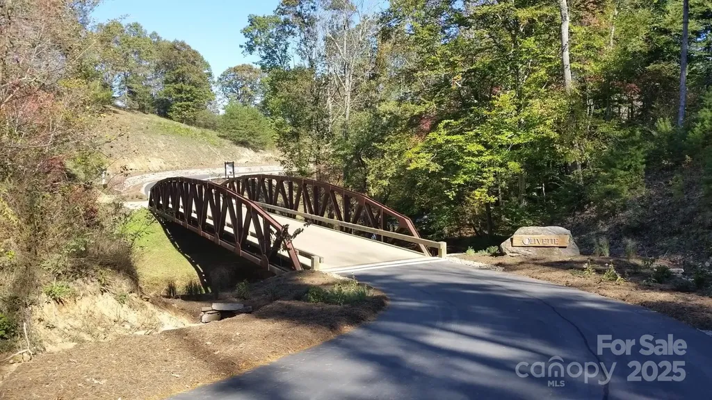 116 Lilikoi Lane Asheville NC 28804