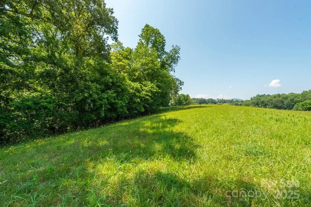 116 Lilikoi Lane Asheville NC 28804