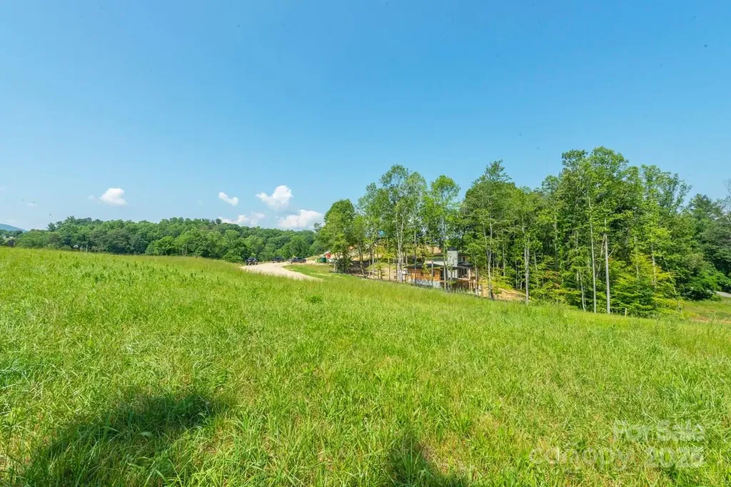 116 Lilikoi Lane Asheville NC 28804