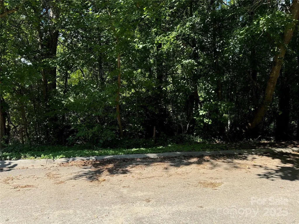 99 Acres Hwy 321 Bypass York SC 29745