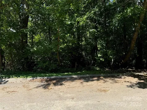 99 Acres Hwy 321 Bypass York SC 29745
