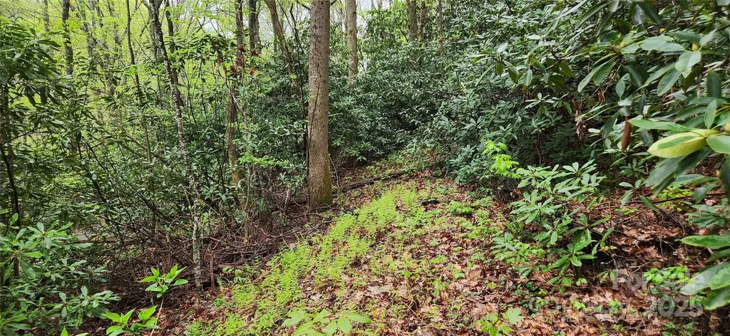 99999 Atherton Way Asheville NC 28803