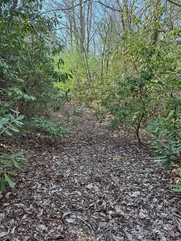 7797 Huskins Drive Newland NC 28657