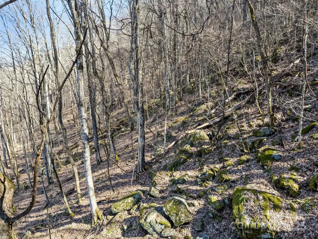 00 Apple Creek Road Waynesville NC 28786