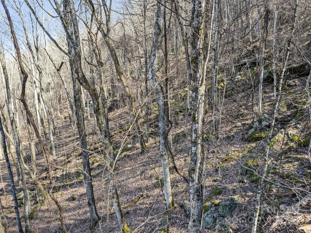 00 Apple Creek Road Waynesville NC 28786
