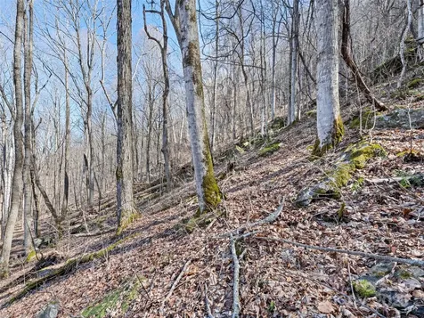 00 Apple Creek Road Waynesville NC 28786