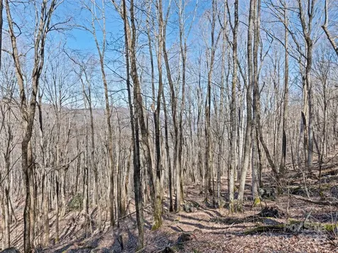 00 Apple Creek Road Waynesville NC 28786
