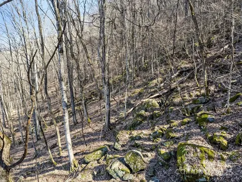 00 Apple Creek Road Waynesville NC 28786