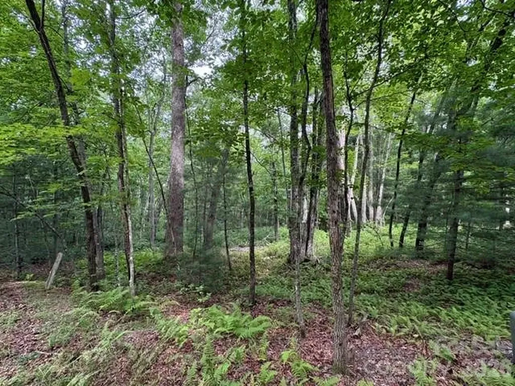 44 A Red Oak Lane Brevard NC 28712