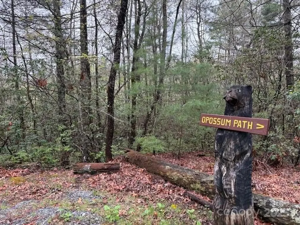 Fr 16 Opossum Path Brevard NC 28712
