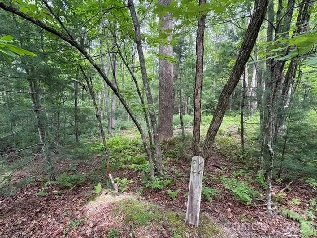 44 A Red Oak Lane Brevard NC 28712