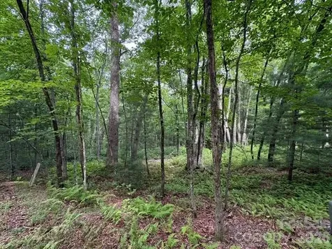 44 A Red Oak Lane Brevard NC 28712