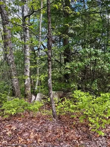 Fr 16 Opossum Path Brevard NC 28712
