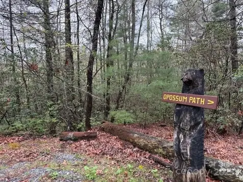 Fr 16 Opossum Path Brevard NC 28712